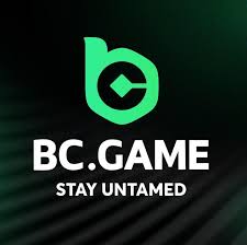 Discover BCGame.sk Casino A Comprehensive Guide for New Players